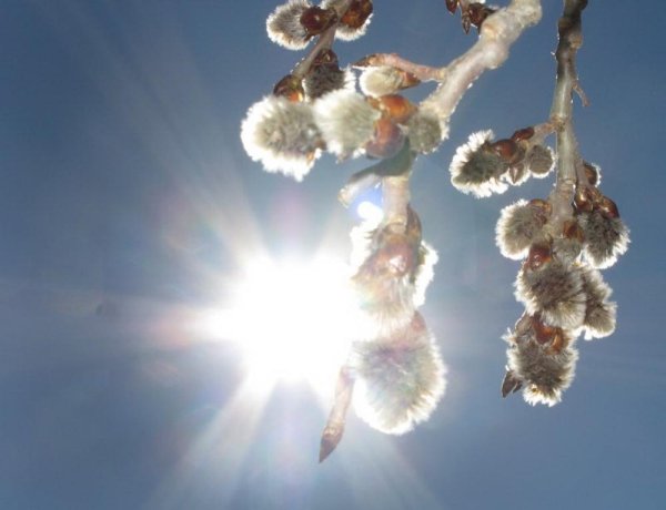 Утро великолепное в воздухе прохладно солнце