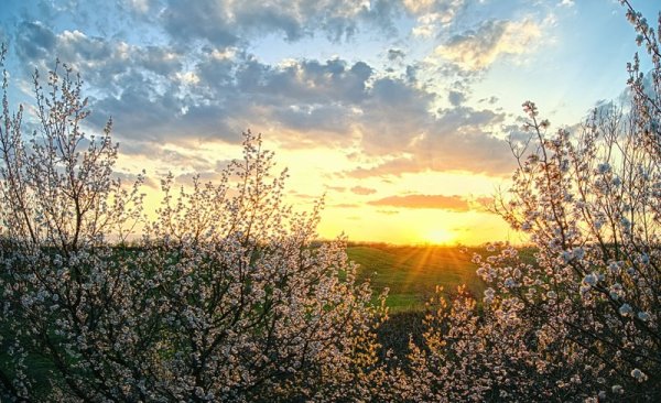 Апрельский рассвет