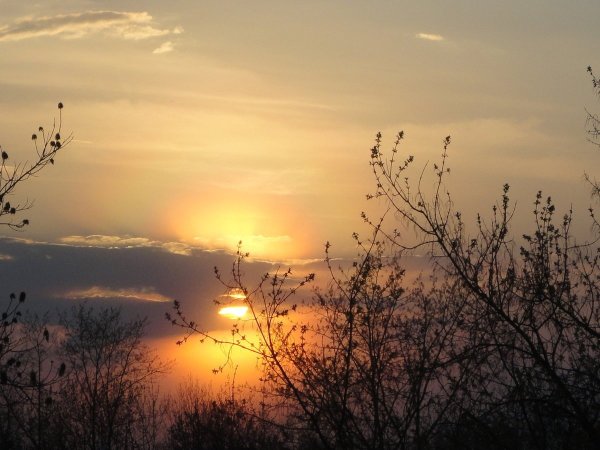 Природа лучи солнца