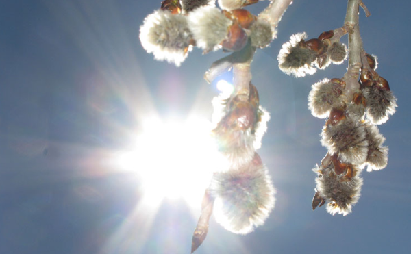 Здравствуй апрель