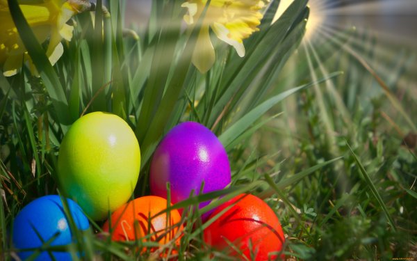 Пасхальное разноцветие