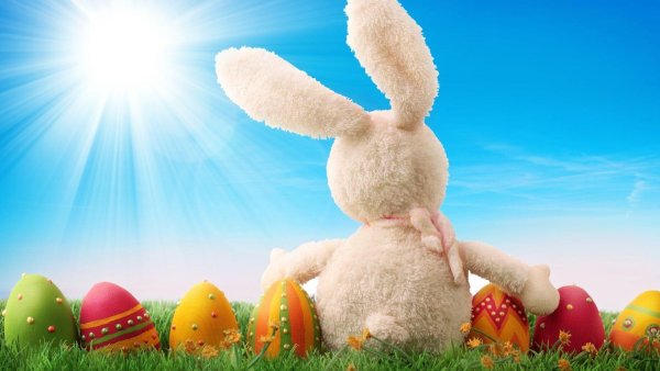 Пасхальный заяц