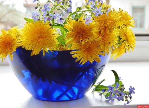 С добрым солнечным утром