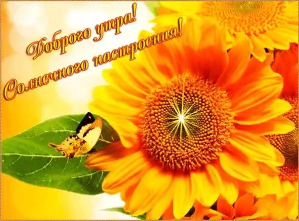 Утра дня пожелания