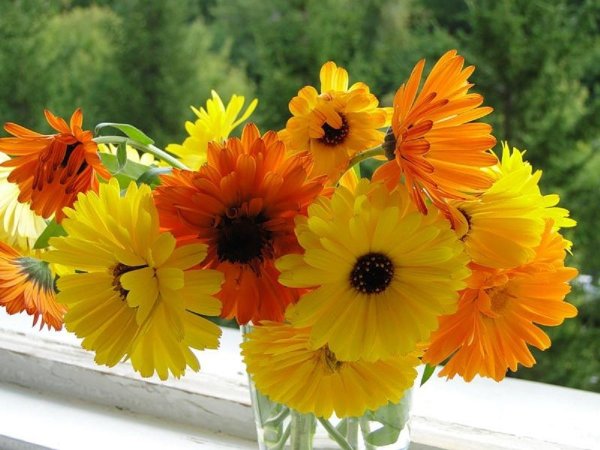 Доброе утро рассвет с надписью