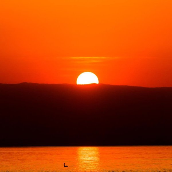 Солнце Востока