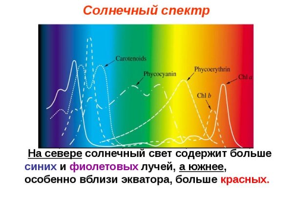 Линейчатый спектр паров ртути
