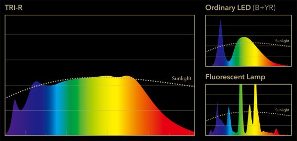 Диапазоны спектра электромагнитного излучения