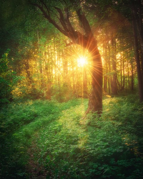 Солнце сияет