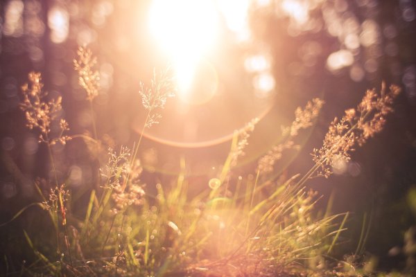 Солнца светом Озаренный