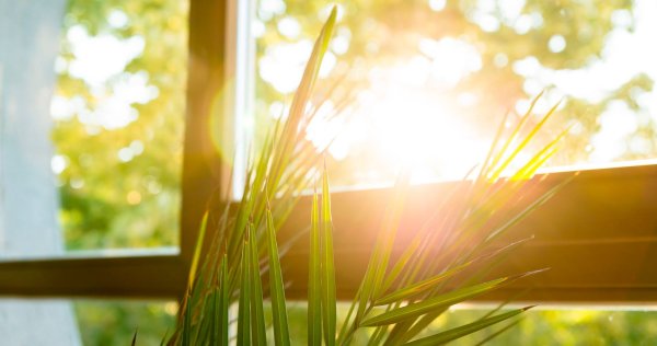 Красота русской природы