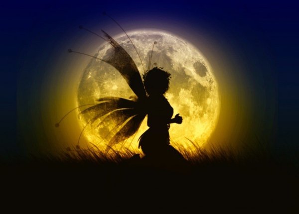 Фея солнечного света