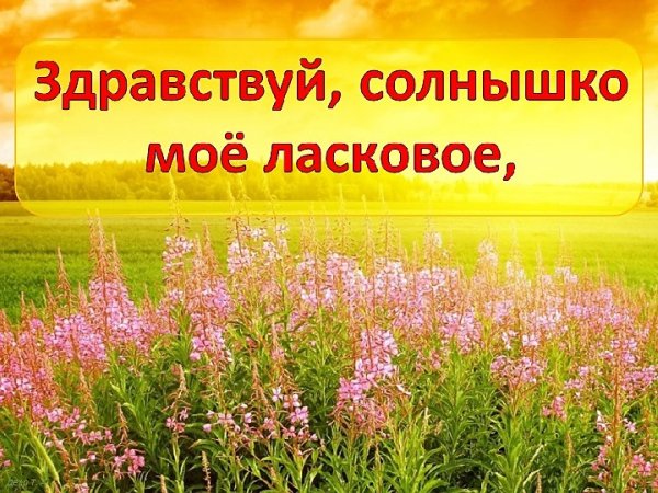 Здравствуй солнце