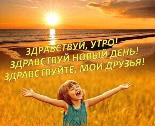 Раз Ромашка два Ромашка Медвежонок