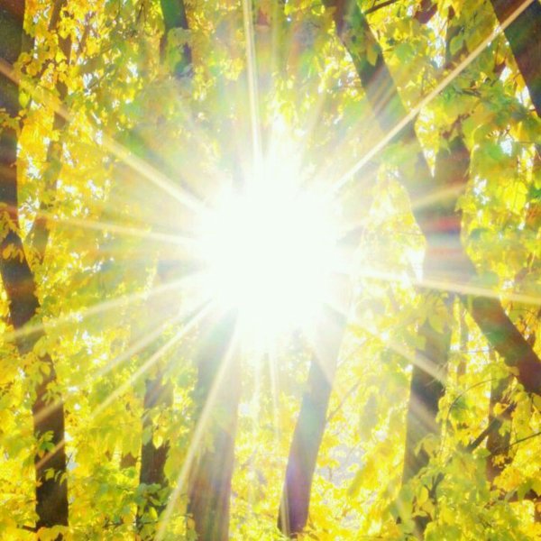 Ослепительно яркое солнце