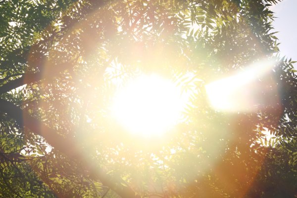 Дневной свет солнце