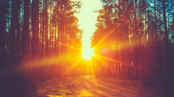 Яркое солнце