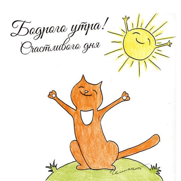 Котёнок и солнышко
