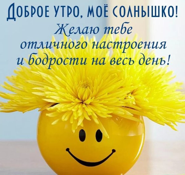 Доброе утро солнышко