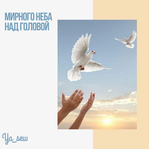 Плакат мирное небо