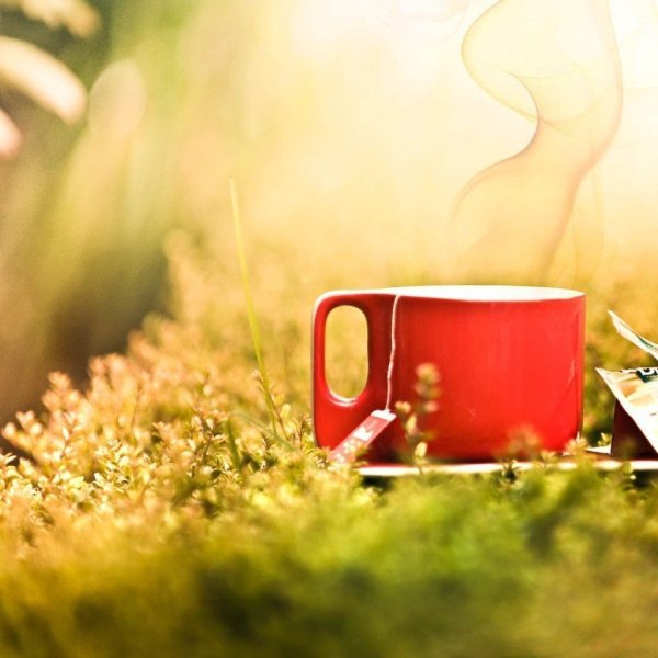 Чай на природе