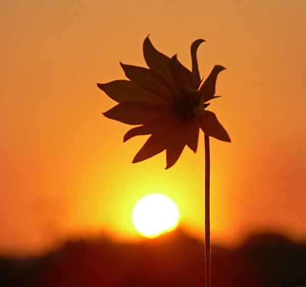 3 Май солнце будет