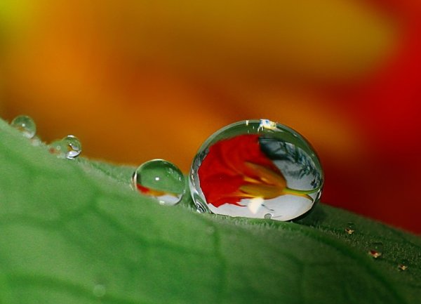 Капля воды на солнце