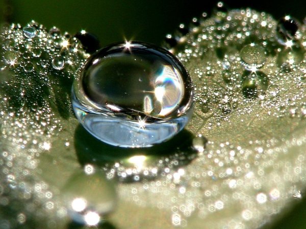 Капля воды