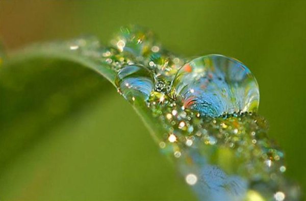 Радуга в каплях росы