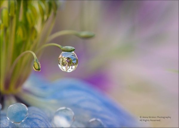 Капля тепла