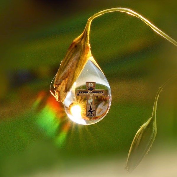 Отражение солнца в капле