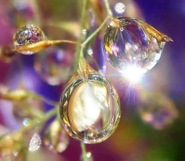 Капля воды на солнце