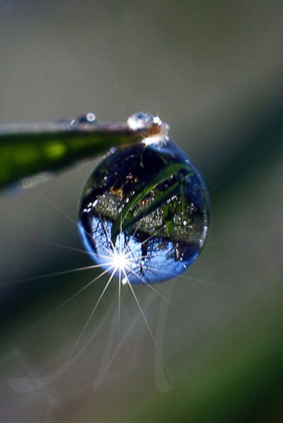 Отражение в капле воды