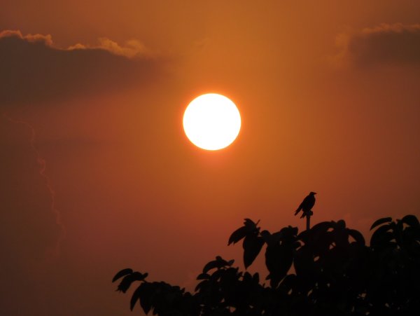 Сурья индийский Бог