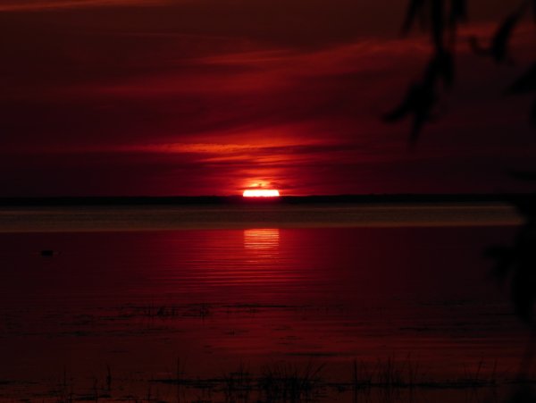 Багровый закат