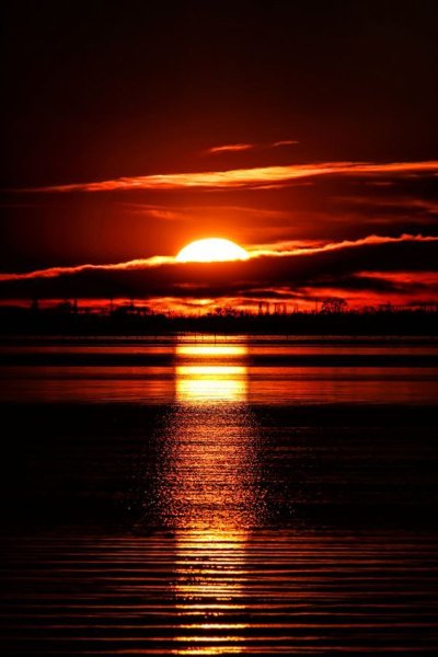 Багряный рассвет