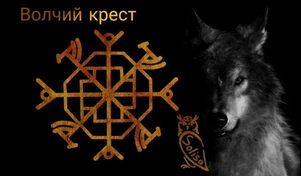 Волчье солнце сериал 2014 Останин