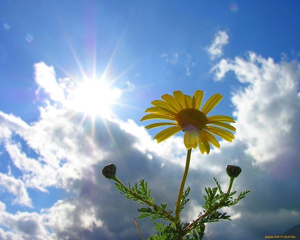 Солнца светом Озаренный