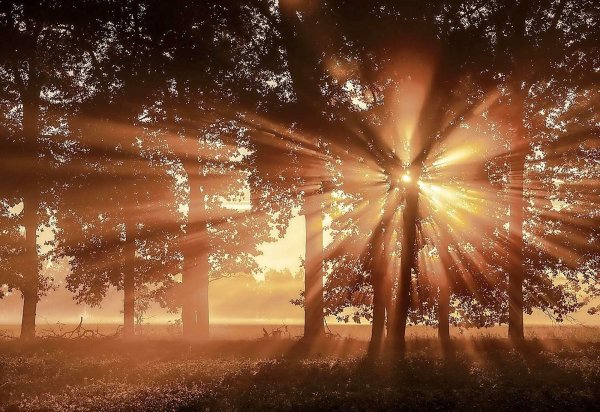 Яркое солнце