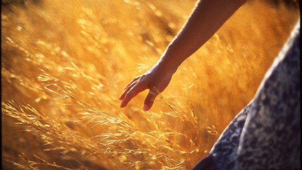 Лучи солнца