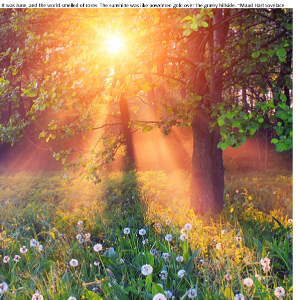 Солнце летом