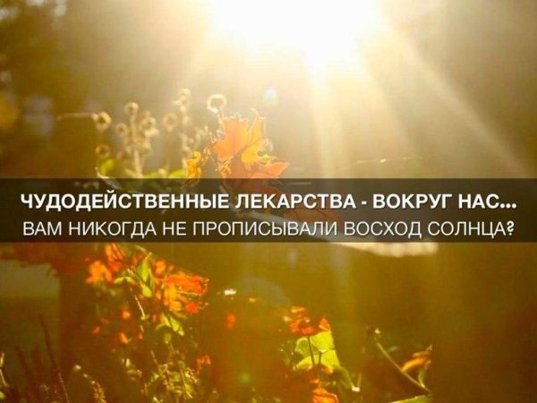 Высказывания про солнце