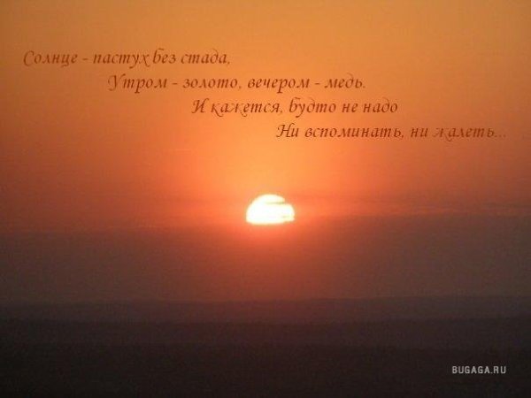 Девушка на качелях