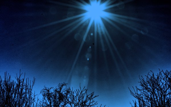 Солнце ночи