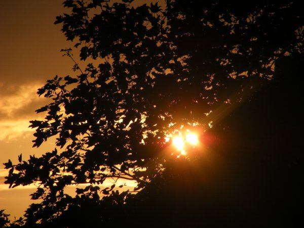 Оранжевая Луна