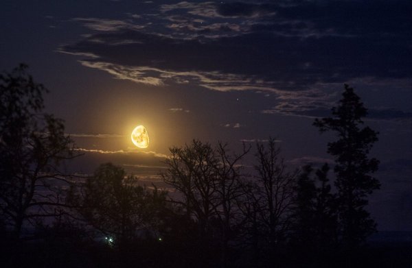 Солнце ночи