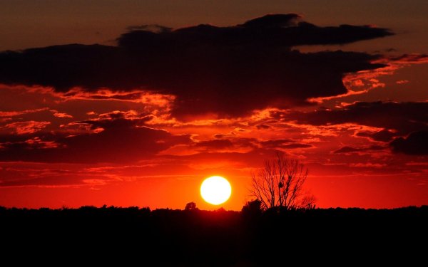 Первые лучи солнца
