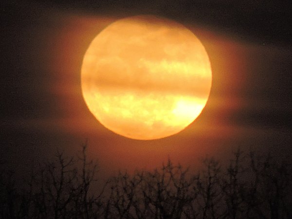 Солнце на ночном небе