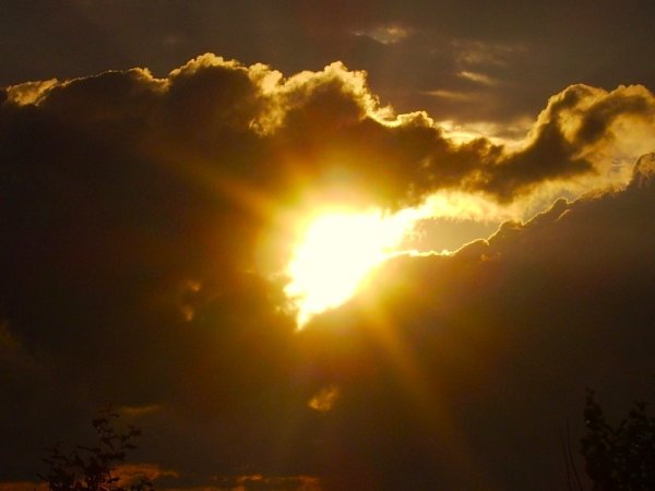 Дети солнца