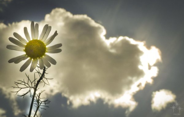 Мало солнца